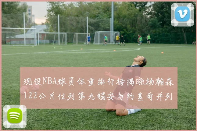 现役NBA球员体重排行榜揭晓杨瀚森122公斤位列第九锡安与约基奇并列第三