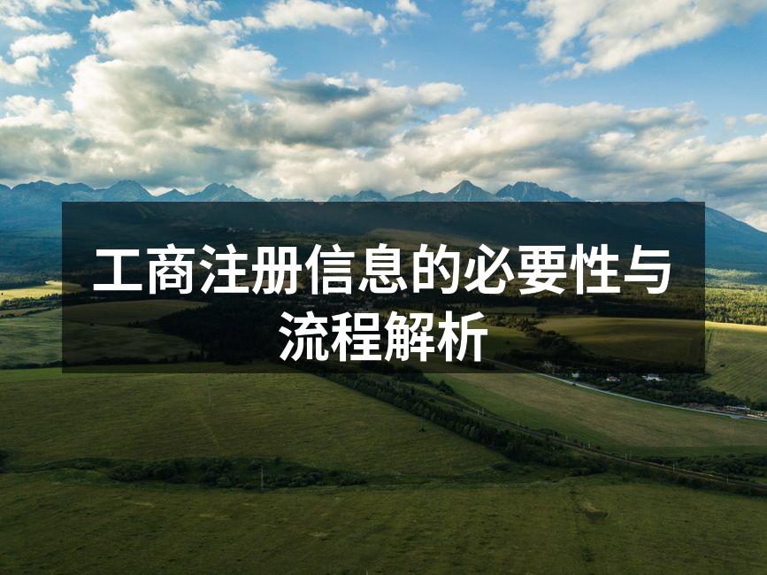 工商注册信息的必要性与流程解析