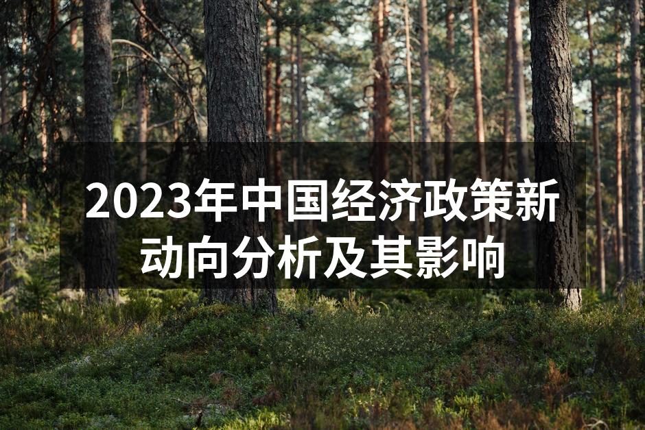 2023年中国经济政策新动向分析及其影响