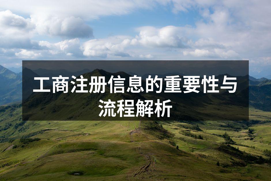 工商注册信息的重要性与流程解析