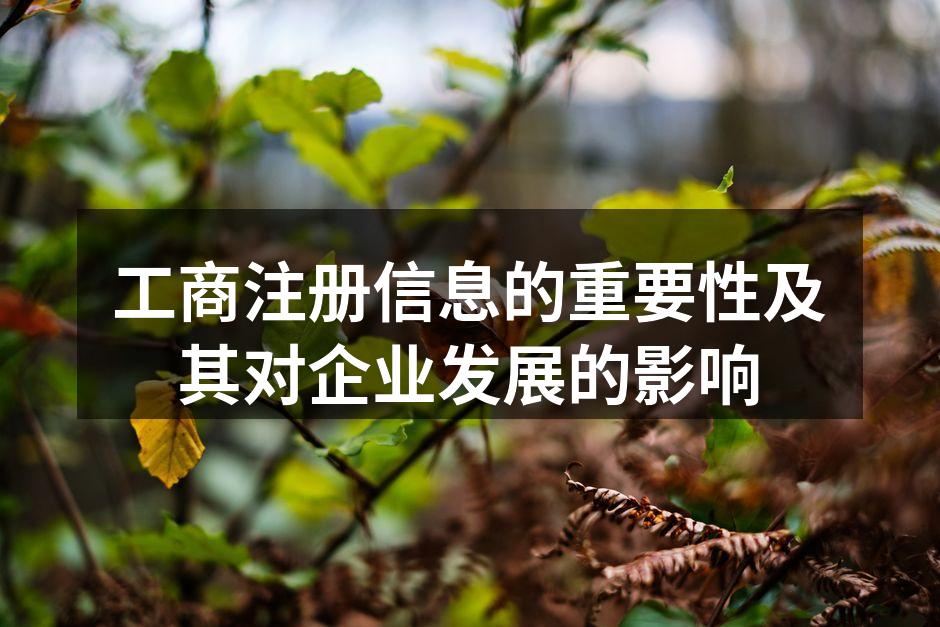 工商注册信息的重要性及其对企业发展的影响