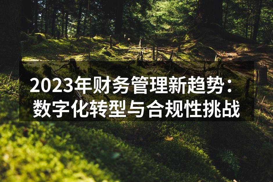 2023年财务管理新趋势：数字化转型与合规性挑战