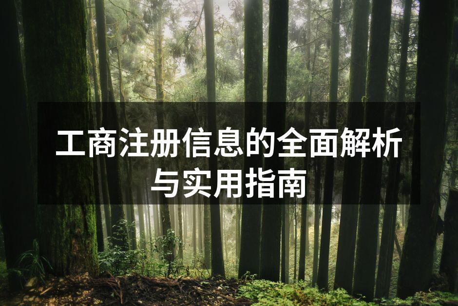 工商注册信息的全面解析与实用指南