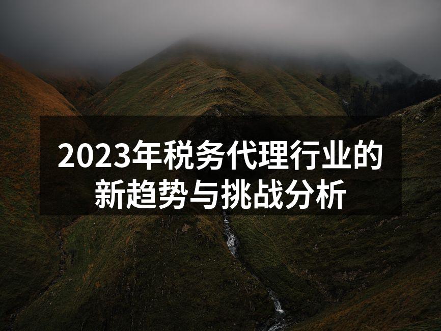 2023年税务代理行业的新趋势与挑战分析
