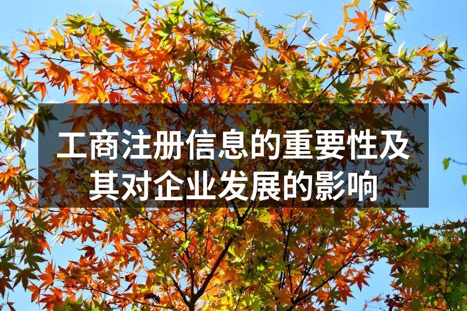 工商注册信息的重要性及其对企业发展的影响