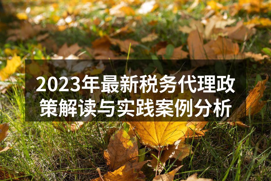 2023年最新税务代理政策解读与实践案例分析